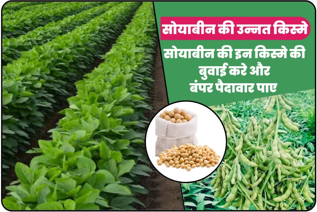 Soybean Ki Kheti Kaise Ki Jati Hai