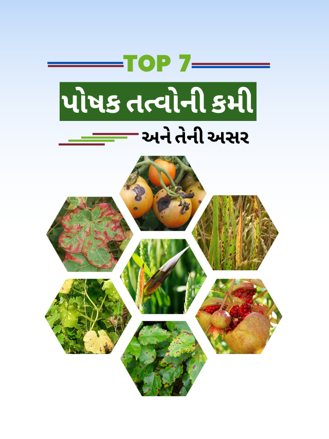 B.Ed. Teaching chart Home science T. L. M. पोषक तत्व Nutrients in food /By  Anju Jaiswal - YouTube