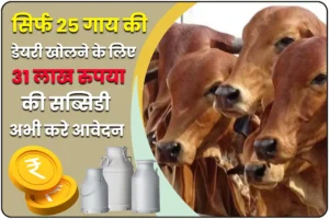 Gay Ki Nai Dairy Kholne Ke Liye Milegi 31 Lakh Ki Subsidi