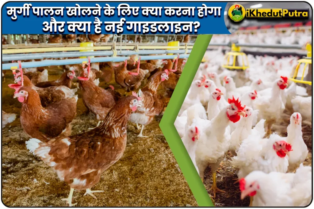 Poultry Farm Kholne Ke Liye Kya Karna Hoga