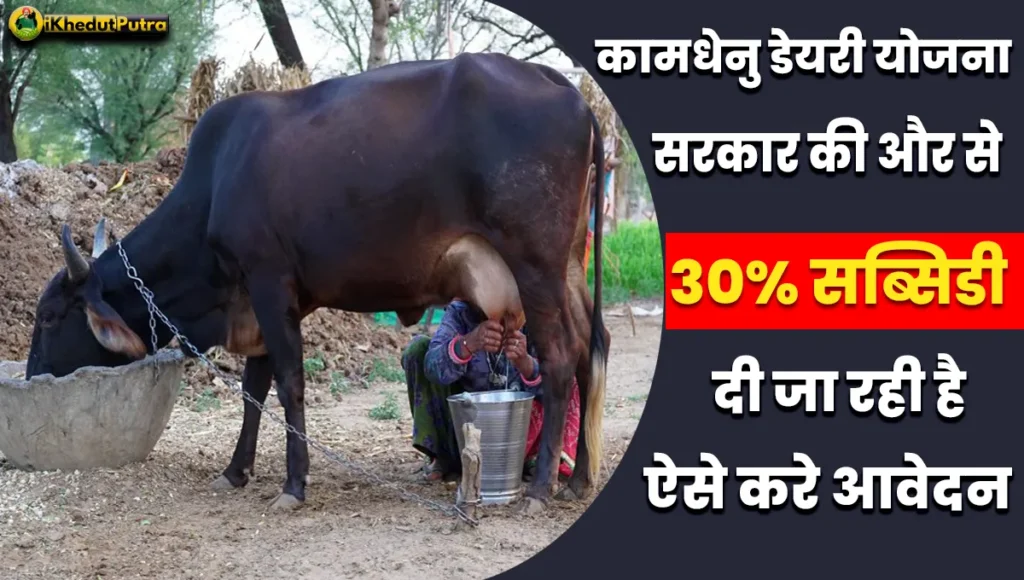 Kamdhenu Dairy Yojana 2024