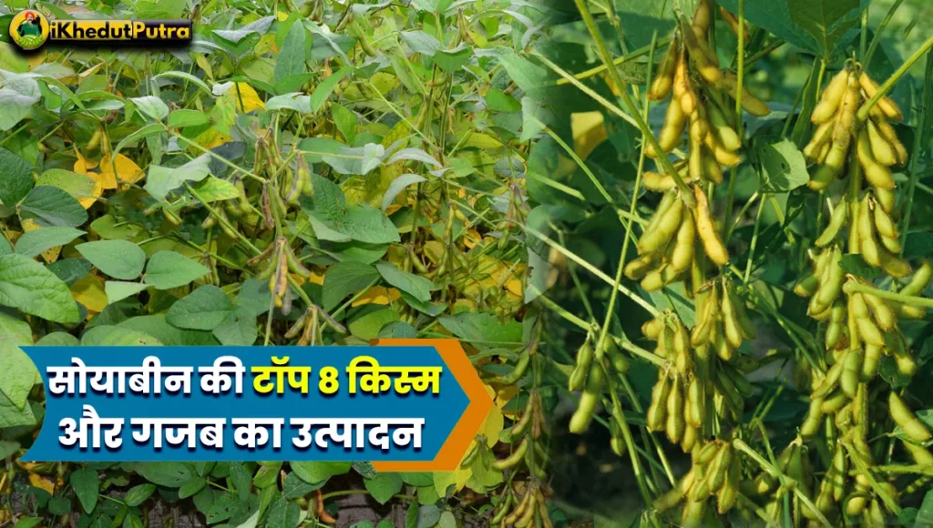 2024 Soybean Top Kism In Hindi