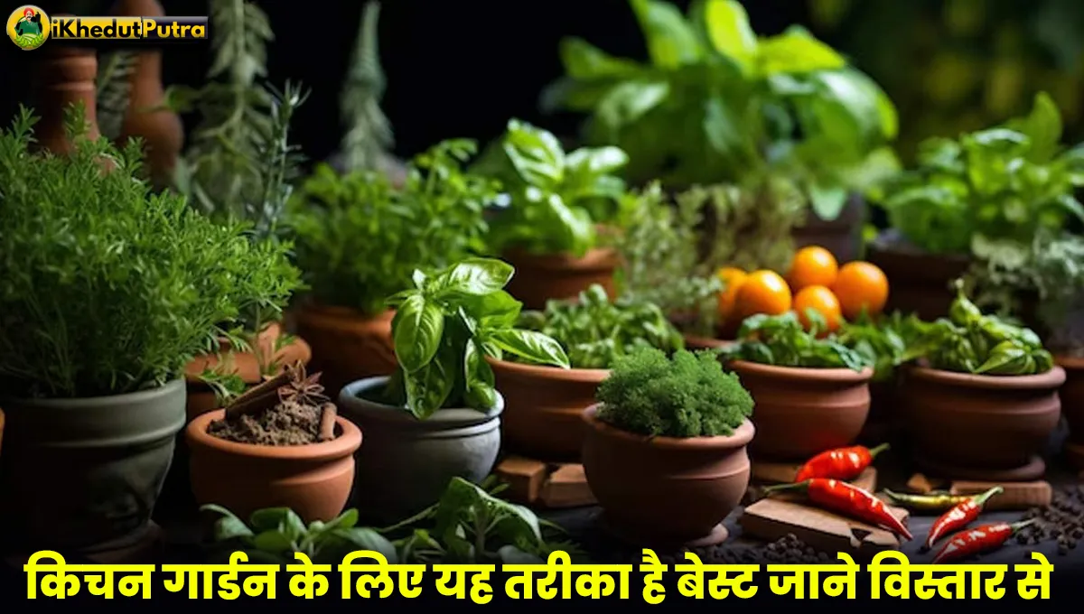 Kitchen Garden Ki Shuruaat Kaise Karen