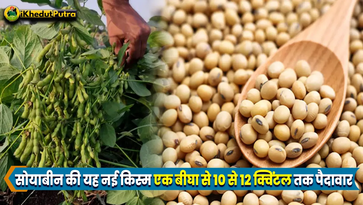 Soyabean Ki New Variety