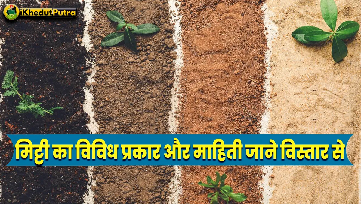 Types Of Soil In India