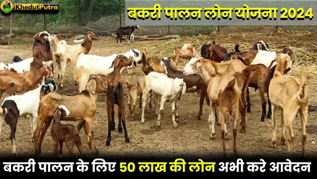 Bakri Palan Loan Yojana