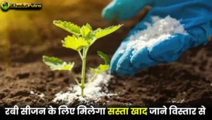 Fertilizers Subsidy 2024